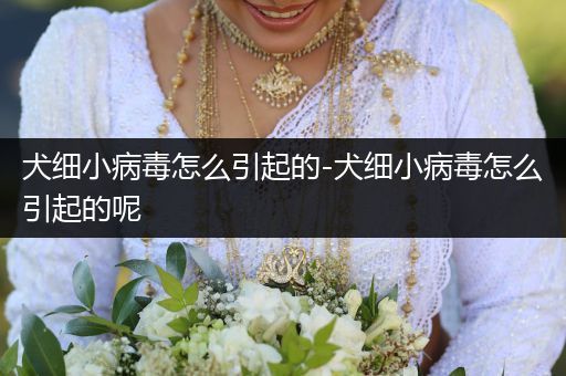 犬細小病毒怎么引起的-犬細小病毒怎么引起的呢