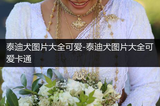 泰迪犬圖片大全可愛-泰迪犬圖片大全可愛卡通