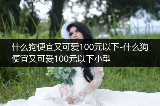 什么狗便宜又可愛(ài)100元以下-什么狗便宜又可愛(ài)100元以下小型