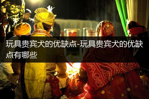 玩具貴賓犬的優(yōu)缺點(diǎn)-玩具貴賓犬的優(yōu)缺點(diǎn)有哪些