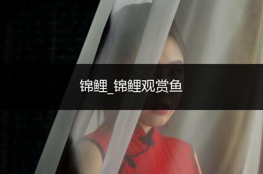 錦鯉_錦鯉觀賞魚