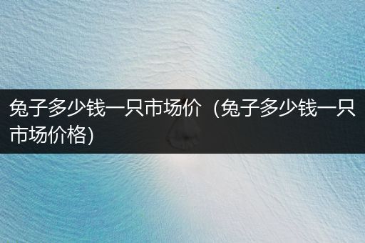 兔子多少錢(qián)一只市場(chǎng)價(jià)（兔子多少錢(qián)一只市場(chǎng)價(jià)格）