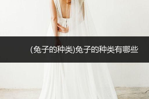 （兔子的種類(lèi))兔子的種類(lèi)有哪些