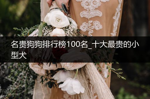 名貴狗狗排行榜100名_十大最貴的小型犬
