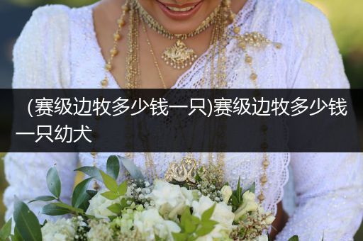 (賽級邊牧多少錢一只)賽級邊牧多少錢一只幼犬