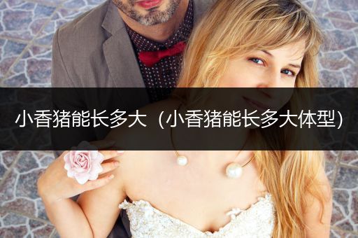 小香豬能長多大(小香豬能長多大體型)
