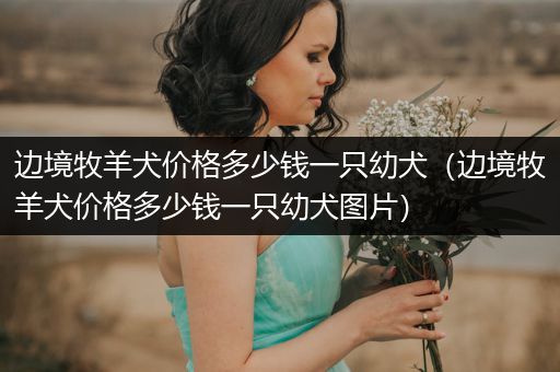 邊境牧羊犬價(jià)格多少錢(qián)一只幼犬（邊境牧羊犬價(jià)格多少錢(qián)一只幼犬圖片）