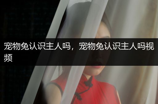 寵物兔認(rèn)識(shí)主人嗎，寵物兔認(rèn)識(shí)主人嗎視頻