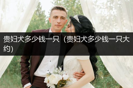 貴婦犬多少錢一只（貴婦犬多少錢一只大約）