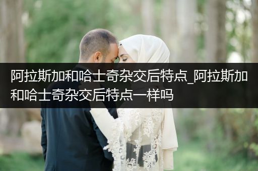 阿拉斯加和哈士奇雜交后特點_阿拉斯加和哈士奇雜交后特點一樣嗎