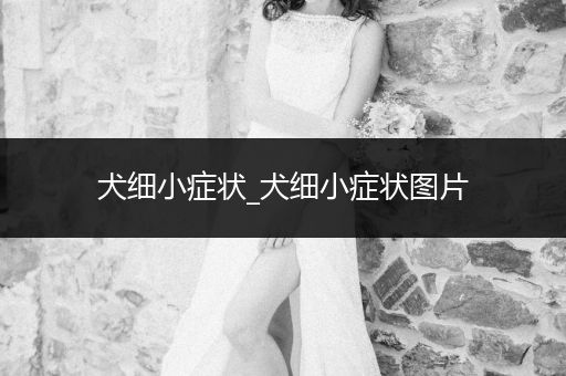 犬細小癥狀_犬細小癥狀圖片