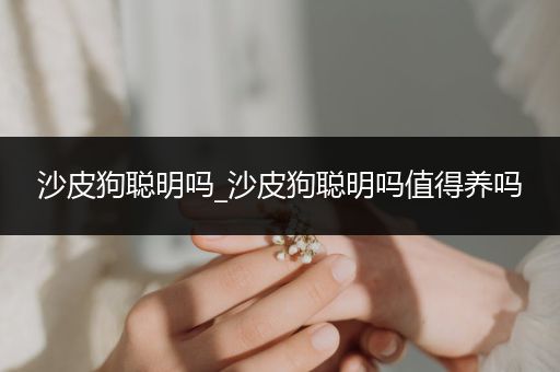 沙皮狗聰明嗎_沙皮狗聰明嗎值得養(yǎng)嗎
