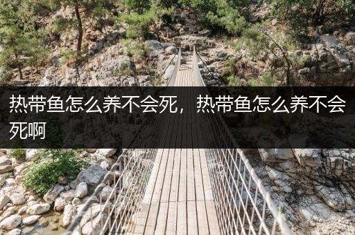 熱帶魚怎么養(yǎng)不會死，熱帶魚怎么養(yǎng)不會死啊