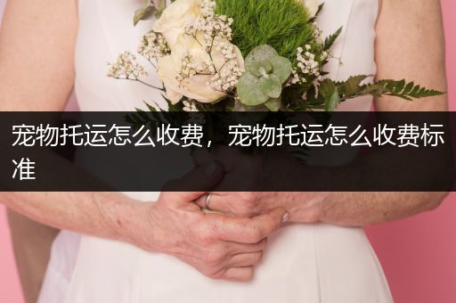 寵物托運(yùn)怎么收費(fèi)，寵物托運(yùn)怎么收費(fèi)標(biāo)準(zhǔn)