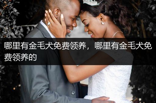 哪里有金毛犬免費(fèi)領(lǐng)養(yǎng)，哪里有金毛犬免費(fèi)領(lǐng)養(yǎng)的