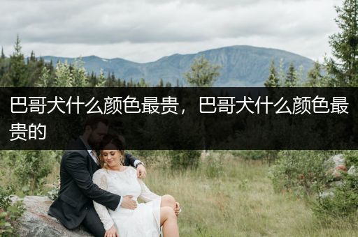 巴哥犬什么顏色最貴，巴哥犬什么顏色最貴的