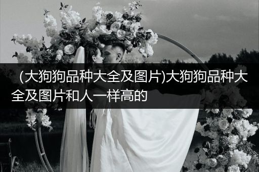（大狗狗品種大全及圖片)大狗狗品種大全及圖片和人一樣高的