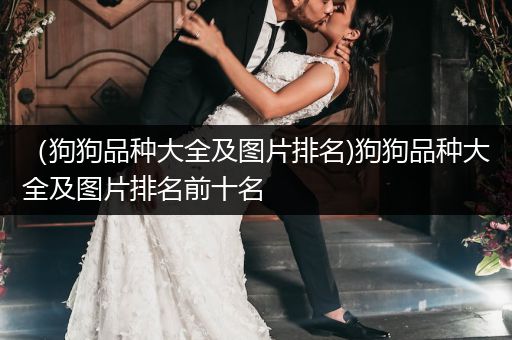 （狗狗品種大全及圖片排名)狗狗品種大全及圖片排名前十名