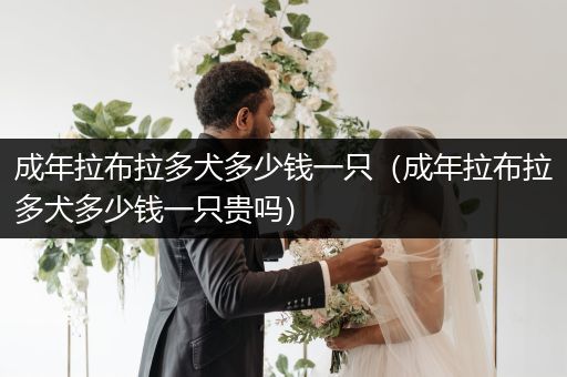 成年拉布拉多犬多少錢一只(成年拉布拉多犬多少錢一只貴嗎)