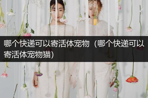 哪個快遞可以寄活體寵物（哪個快遞可以寄活體寵物貓）