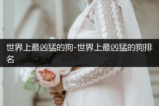 世界上最兇猛的狗-世界上最兇猛的狗排名