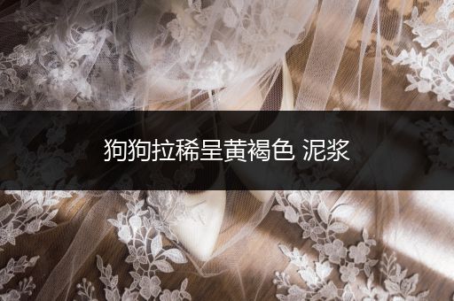 狗狗拉稀呈黃褐色 泥漿