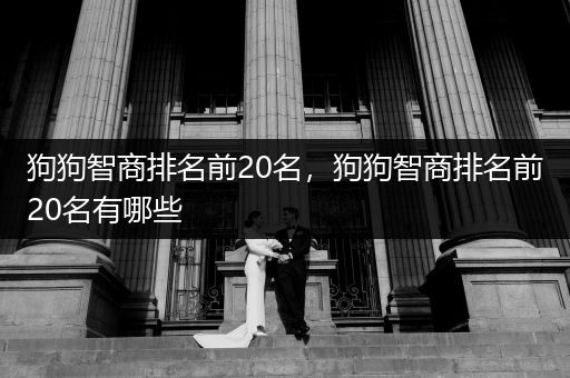 狗狗智商排名前20名，狗狗智商排名前20名有哪些
