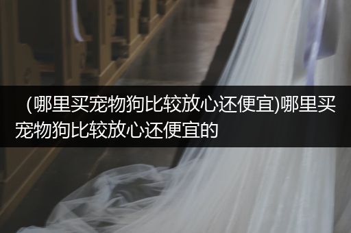 （哪里買寵物狗比較放心還便宜)哪里買寵物狗比較放心還便宜的