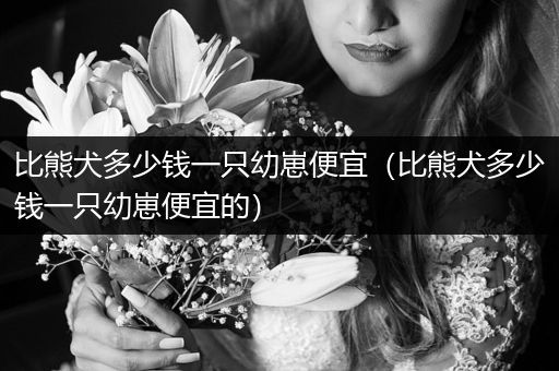 比熊犬多少錢(qián)一只幼崽便宜（比熊犬多少錢(qián)一只幼崽便宜的）