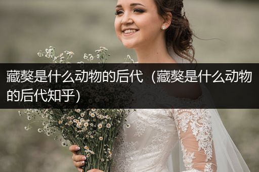 藏獒是什么動物的后代（藏獒是什么動物的后代知乎）