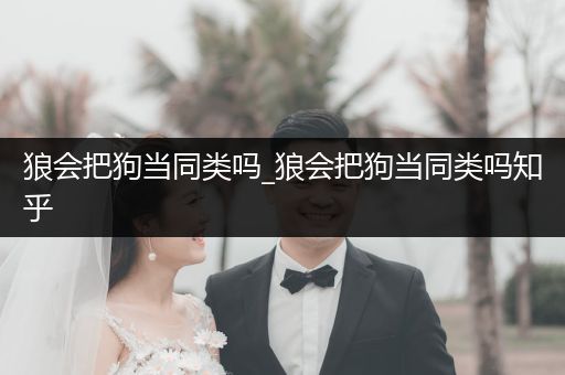 狼會把狗當同類嗎_狼會把狗當同類嗎知乎