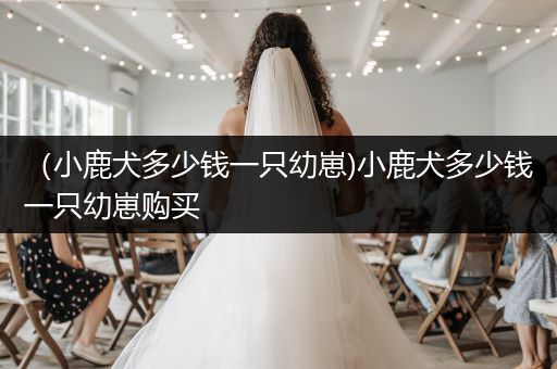 （小鹿犬多少錢一只幼崽)小鹿犬多少錢一只幼崽購買