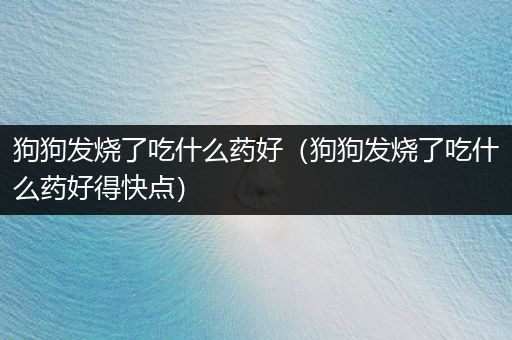 狗狗發(fā)燒了吃什么藥好（狗狗發(fā)燒了吃什么藥好得快點(diǎn)）