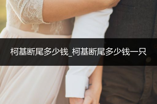 柯基斷尾多少錢_柯基斷尾多少錢一只