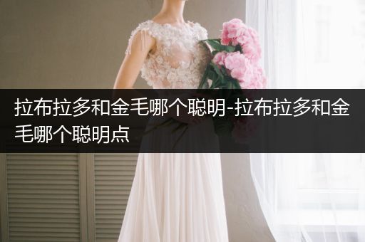 拉布拉多和金毛哪個(gè)聰明-拉布拉多和金毛哪個(gè)聰明點(diǎn)