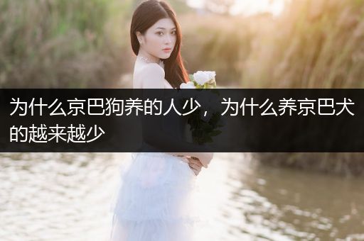 為什么京巴狗養(yǎng)的人少，為什么養(yǎng)京巴犬的越來越少