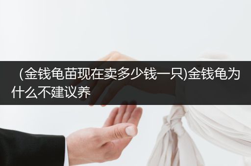 （金錢龜苗現(xiàn)在賣多少錢一只)金錢龜為什么不建議養(yǎng)