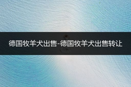 德國牧羊犬出售-德國牧羊犬出售轉(zhuǎn)讓