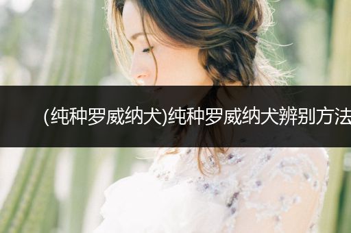 (純種羅威納犬)純種羅威納犬辨別方法