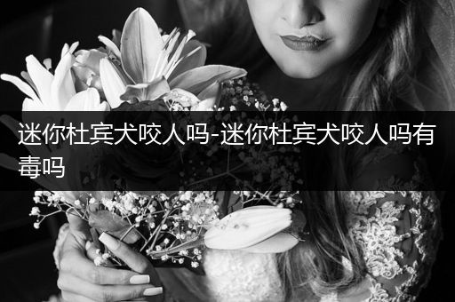 迷你杜賓犬咬人嗎-迷你杜賓犬咬人嗎有毒嗎