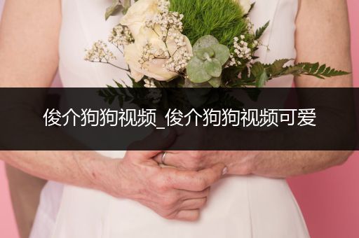 俊介狗狗視頻_俊介狗狗視頻可愛(ài)