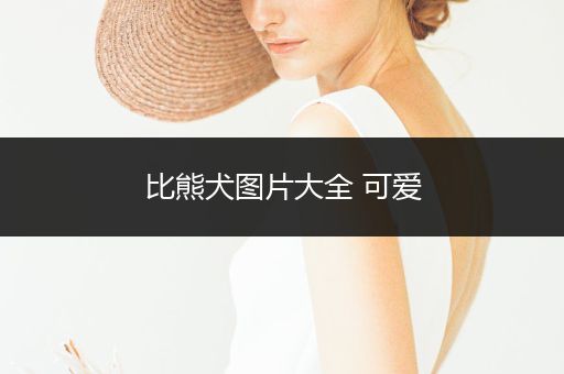 比熊犬圖片大全 可愛