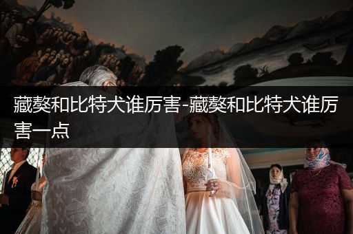 藏獒和比特犬誰(shuí)厲害-藏獒和比特犬誰(shuí)厲害一點(diǎn)