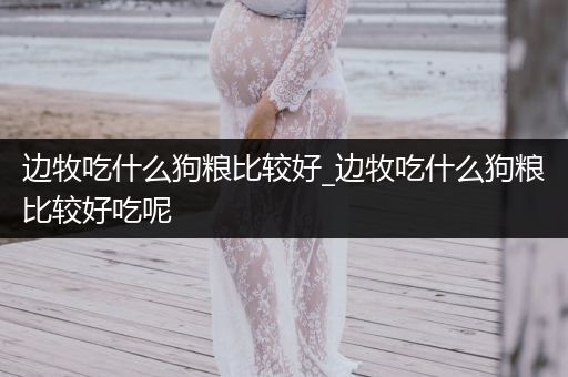 邊牧吃什么狗糧比較好_邊牧吃什么狗糧比較好吃呢