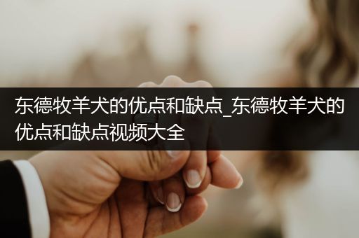 東德牧羊犬的優(yōu)點(diǎn)和缺點(diǎn)_東德牧羊犬的優(yōu)點(diǎn)和缺點(diǎn)視頻大全