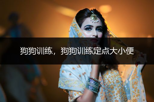 狗狗訓練，狗狗訓練定點大小便