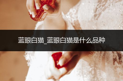 藍眼白貓_藍眼白貓是什么品種