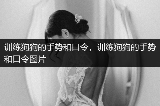 訓(xùn)練狗狗的手勢和口令，訓(xùn)練狗狗的手勢和口令圖片