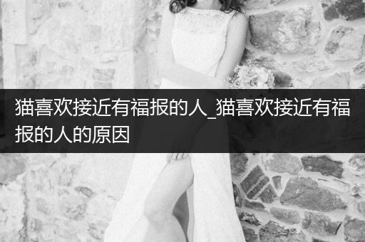 貓喜歡接近有福報的人_貓喜歡接近有福報的人的原因