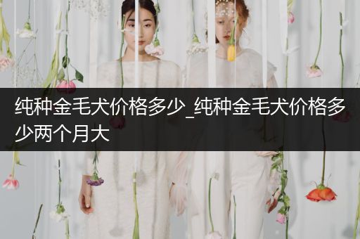 純種金毛犬價格多少_純種金毛犬價格多少兩個月大